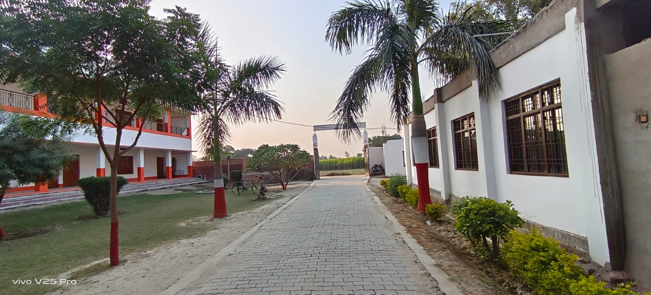 C.B Singh Law College